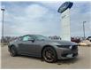 2026 Ford Mustang EcoBoost Premium (Stk: T18340) in Hague - Image 2 of 13