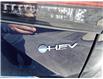 2026 Toyota Highlander Hybrid XLE (Stk: 3446) in Sarnia - Image 8 of 8