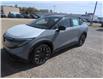 2026 Nissan LEAF PLATINUM+ (Stk: 26141) in Sarnia - Image 1 of 3