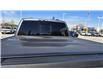 2024 Ford F-150 Raptor (Stk: P04261) in RICHMOND HILL - Image 37 of 38