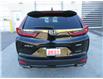 2022 Honda CR-V Black Edition (Stk: K21462A) in Ottawa - Image 5 of 16