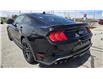 2021 Ford Mustang GT (Stk: P04263) in RICHMOND HILL - Image 3 of 28