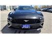 2021 Ford Mustang GT (Stk: P04263) in RICHMOND HILL - Image 8 of 28