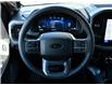 2026 Ford F-150 XLT (Stk: F62455) in GEORGETOWN - Image 20 of 25