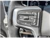 2025 Chevrolet Silverado 1500 LT (Stk: 166112) in London - Image 14 of 21