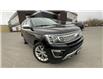 2019 Ford Expedition Platinum (Stk: 26180) in Sudbury - Image 3 of 27