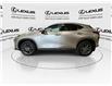 2024 Lexus NX 250  (Stk: 14112497A) in Markham - Image 5 of 24