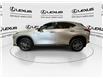 2024 Lexus NX 350  (Stk: 14111949A) in Markham - Image 5 of 27