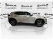 2024 Lexus NX 350  (Stk: 14111949A) in Markham - Image 9 of 27