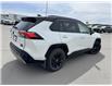 2024 Toyota RAV4 Hybrid XSE (Stk: W235706M) in Cranbrook - Image 5 of 20