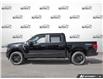 2026 Ford F-150 STX (Stk: ELF26F1613) in St. Catharines - Image 3 of 26