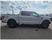 2024 Ford F-150 Tremor (Stk: TA-780A) in Calgary - Image 3 of 10 2024 Ford F-150 Tremor (Stk: TA-780A) in Calgary - Image 3 of 10