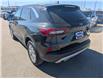 2024 Ford Escape Active (Stk: TK-147A) in Calgary - Image 5 of 25 2024 Ford Escape Active (Stk: TK-147A) in Calgary - Image 5 of 25