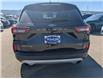 2024 Ford Escape Active (Stk: TK-147A) in Calgary - Image 6 of 25 2024 Ford Escape Active (Stk: TK-147A) in Calgary - Image 6 of 25