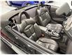 1999 Plymouth Prowler Base (Stk: 502036) in Watford - Image 27 of 37