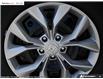 2026 Honda CR-V LX (Stk: 2314720) in North York - Image 8 of 25
