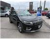 2019 Jeep Cherokee Limited (Stk: T169A) in Chatham - Image 7 of 26