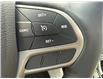 2019 Jeep Cherokee Limited (Stk: T169A) in Chatham - Image 14 of 26