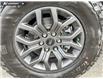 2026 Ford F-150 Tremor (Stk: TT336) in Kamloops - Image 6 of 25