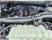 2026 Ford F-150 Tremor (Stk: TT336) in Kamloops - Image 10 of 25