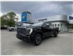 2024 GMC Sierra 3500HD Denali Ultimate (Stk: 6T113A) in Hope - Image 1 of 14