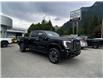 2024 GMC Sierra 3500HD Denali Ultimate (Stk: 6T113A) in Hope - Image 7 of 14
