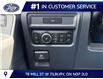 2026 Ford F-150 XLT (Stk: LFFF01716) in Tilbury - Image 10 of 16