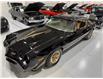1981 Chevrolet Z-28 T-Tops (Stk: 139637) in Watford - Image 3 of 47