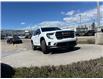 2026 GMC Acadia Elevation (Stk: TJ215430) in Calgary - Image 7 of 22