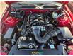 2006 Ford Mustang GT (Stk: TA-543A) in Calgary - Image 13 of 15