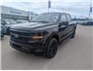 2024 Ford F-150 XLT (Stk: 19516) in Calgary - Image 1 of 24