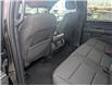 2024 Ford F-150 XLT (Stk: 19516) in Calgary - Image 3 of 24