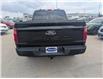 2024 Ford F-150 XLT (Stk: 19516) in Calgary - Image 6 of 24