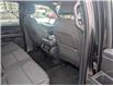 2024 Ford F-150 XLT (Stk: 19516) in Calgary - Image 15 of 24