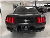 2016 Ford Mustang V6 (Stk: A9235) in Saint-Eustache - Image 4 of 20
