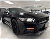 2016 Ford Mustang V6 (Stk: A9235) in Saint-Eustache - Image 7 of 20