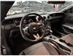 2016 Ford Mustang V6 (Stk: A9235) in Saint-Eustache - Image 10 of 20