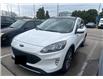 2022 Ford Escape SEL (Stk: T1014X) in Oakville - Image 5 of 10