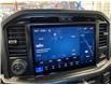 2026 Ford F-150 Tremor (Stk: 26185) in Melfort - Image 18 of 18