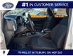 2026 Ford Ranger XL (Stk: LFRA01980) in Tilbury - Image 7 of 15