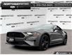 2021 Ford Mustang EcoBoost Premium (Stk: 6BR7645A) in Brantford - Image 1 of 23
