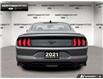 2021 Ford Mustang EcoBoost Premium (Stk: 6BR7645A) in Brantford - Image 5 of 23 2021 Ford Mustang EcoBoost Premium (Stk: 6BR7645A) in Brantford - Image 5 of 23
