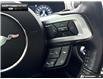 2021 Ford Mustang EcoBoost Premium (Stk: 6BR7645A) in Brantford - Image 14 of 23 2021 Ford Mustang EcoBoost Premium (Stk: 6BR7645A) in Brantford - Image 14 of 23