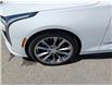 2024 Cadillac CT4-V V-Series (Stk: 24377) in Miramichi - Image 9 of 20 2024 Cadillac CT4-V V-Series (Stk: 24377) in Miramichi - Image 9 of 20