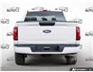 2026 Ford F-150 STX (Stk: 26F1433) in St. Catharines - Image 5 of 25