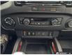 2023 Nissan Frontier PRO-4X (Stk: T1006) in Oakville - Image 28 of 30