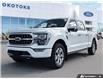 2023 Ford F-150 Platinum (Stk: B89182) in Okotoks - Image 1 of 25