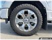 2023 Ford F-150 Platinum (Stk: B89182) in Okotoks - Image 6 of 25