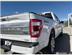 2023 Ford F-150 Platinum (Stk: B89182) in Okotoks - Image 12 of 25