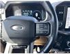 2023 Ford F-150 Platinum (Stk: B89182) in Okotoks - Image 16 of 25
